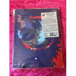 Pokemon Binder med Charizard  X/Y