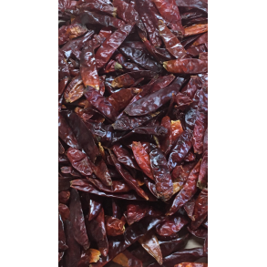 Chili Hel Trret  3-4cm  100Gr.