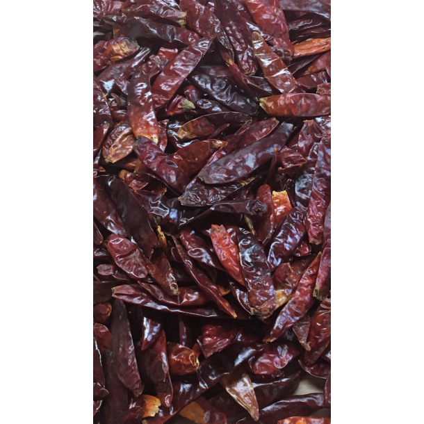 Chili Hel Trret  3-4cm  100Gr.