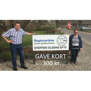 GAVEKORT 300Kr