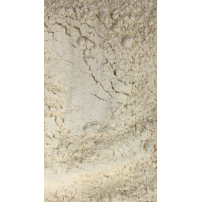 Hvidlgspulver 200Gr.