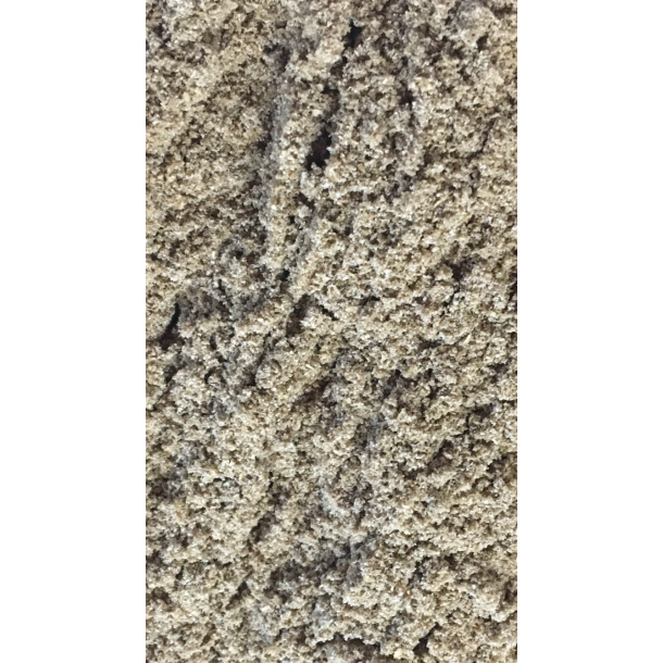 Koriander pulver 200Gr