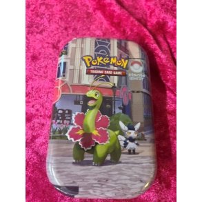 Pokemon Tins boks Salamence