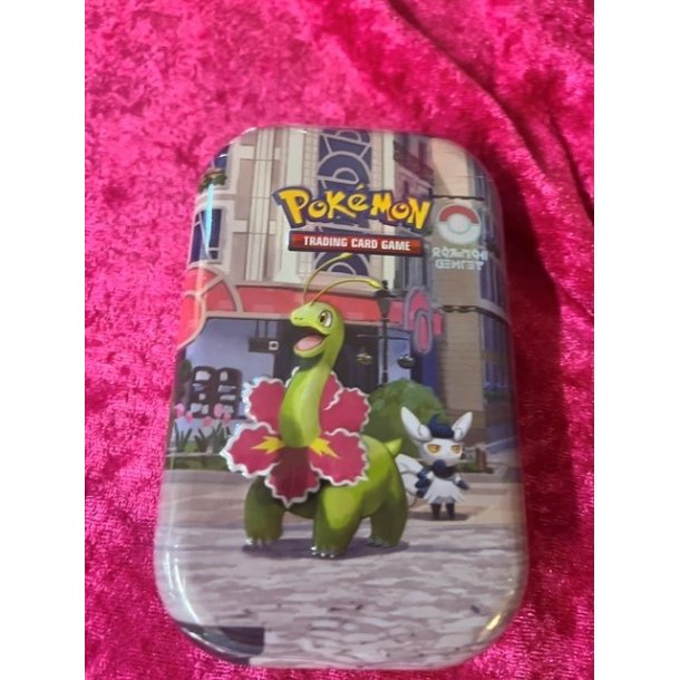 Pokemon Tins boks Salamence