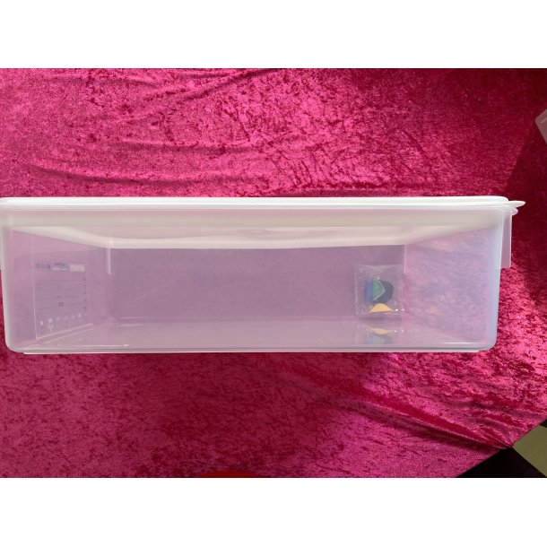 Plastik box med lg 1/1 GN 53*32,5*15 cm