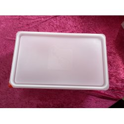 Plastik box med lg 1/1 GN 53*32,5*15 cm