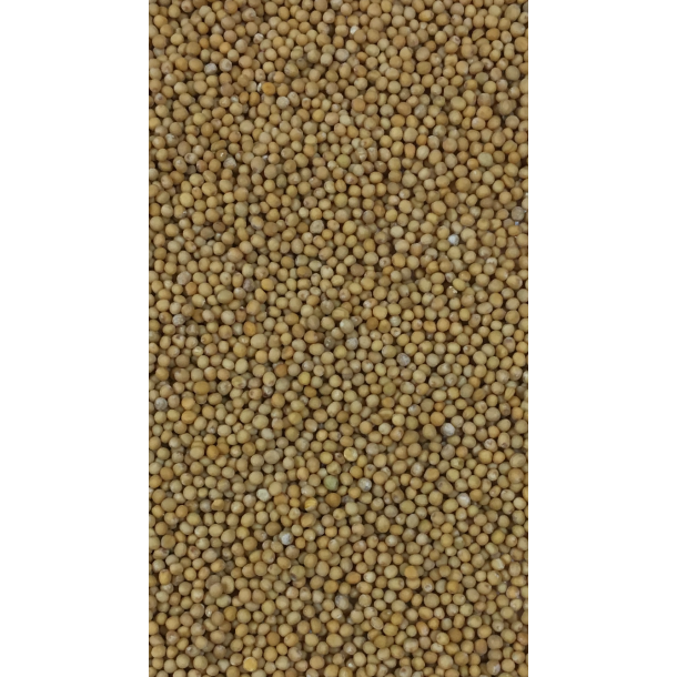 Sennerup Gul hel 200Gr